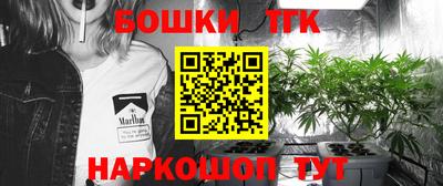 МДПВ Ливны