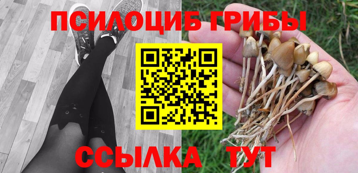 Галлюциногенные грибы MAGIC MUSHROOMS Выкса